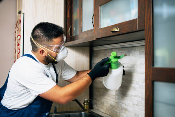 Best Best Pest Control Companies  in Port Sulphur, LA