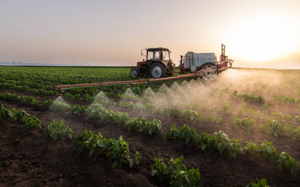 Best Pest Prevention Services  in Port Sulphur, LA