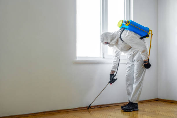 Best Termite Control Services  in Port Sulphur, LA