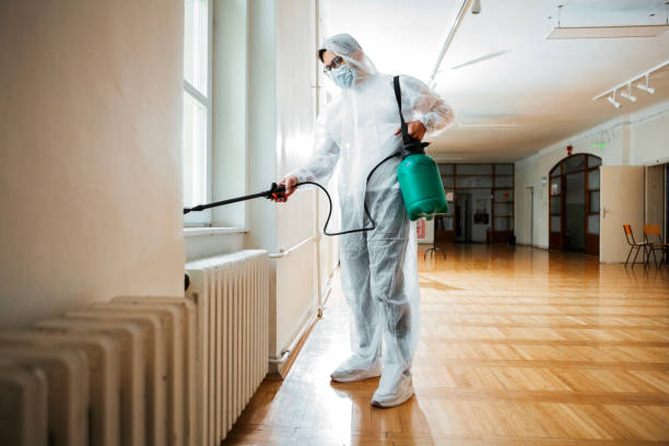 Reliable Port Sulphur, LA Pest Control Solutions