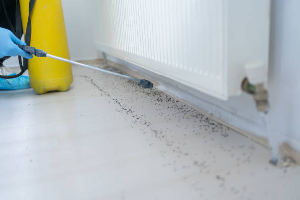 Best Pest Prevention Services  in Port Sulphur, LA
