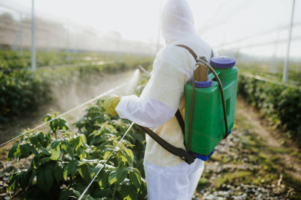 Best Best Pest Control Companies  in Port Sulphur, LA